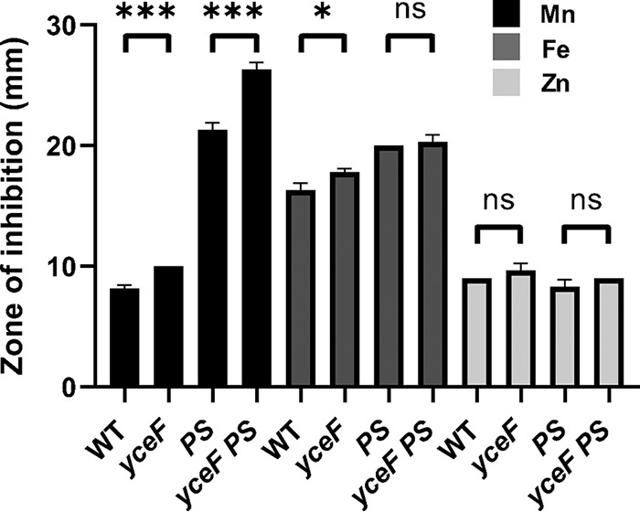 FIG 2