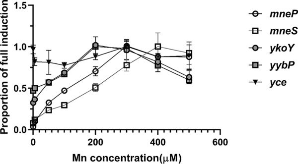 FIG 6