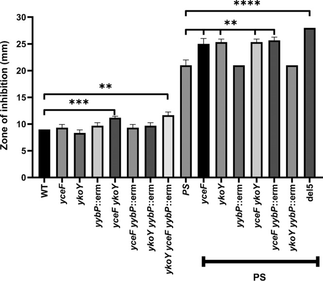 FIG 3