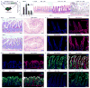 Extended Data Figure 1