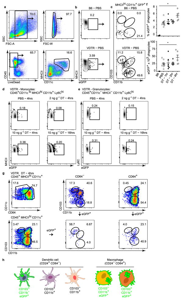 Extended Data Figure 4