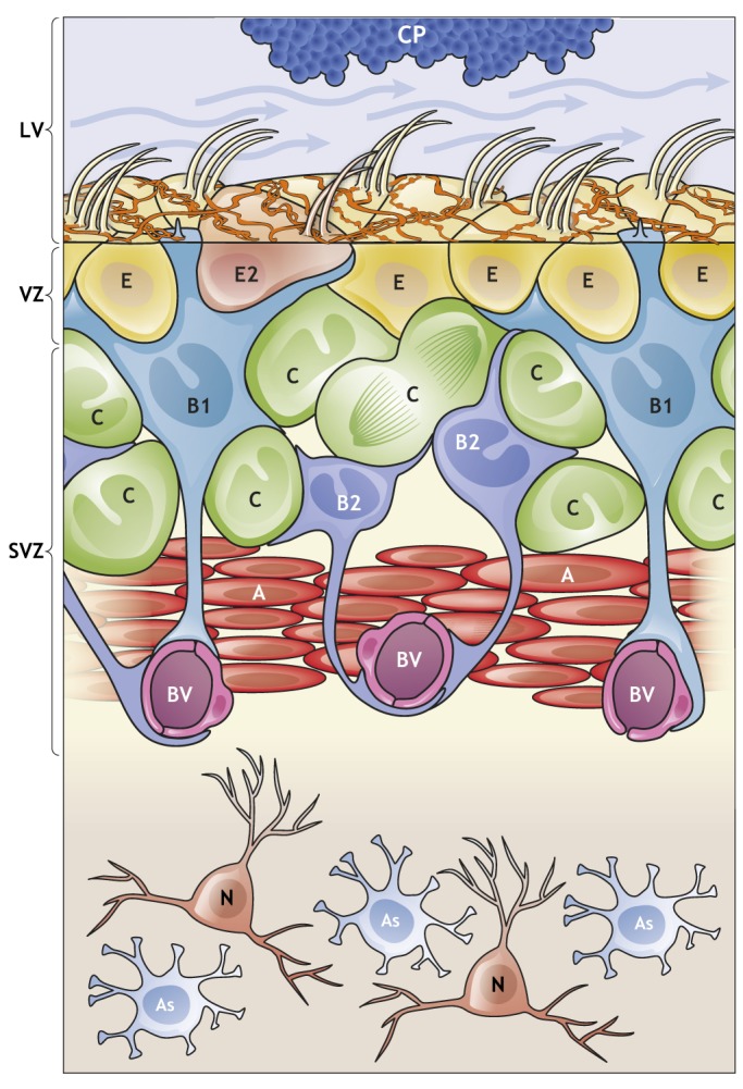 Fig. 1.