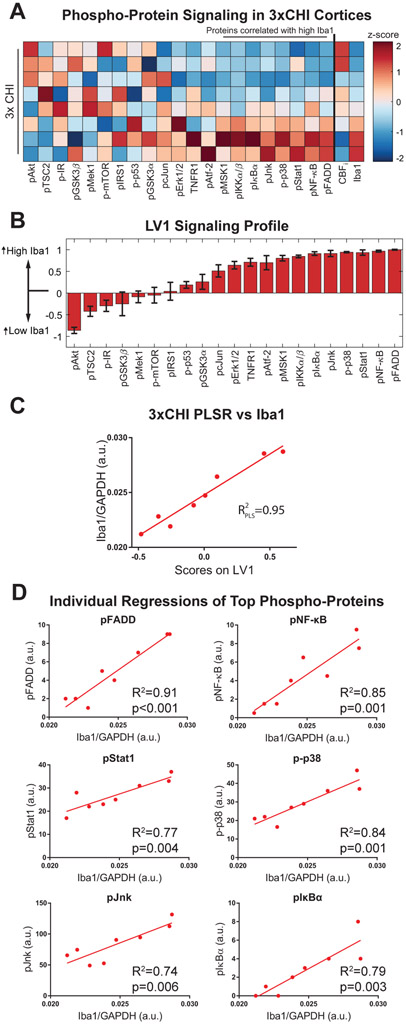 Figure 5: