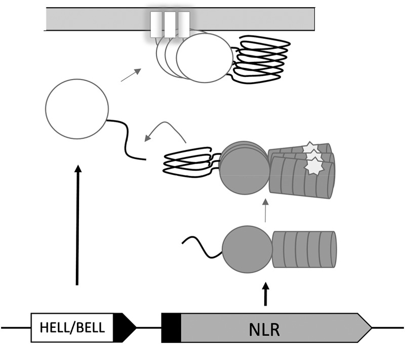 Figure 1.