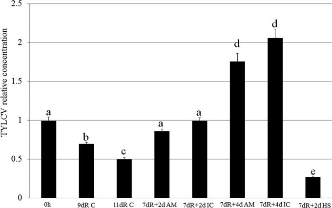 FIG 6