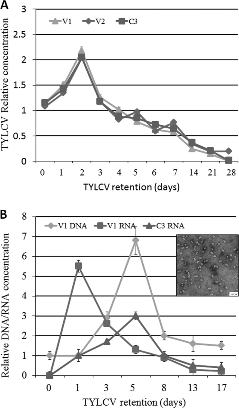 FIG 1