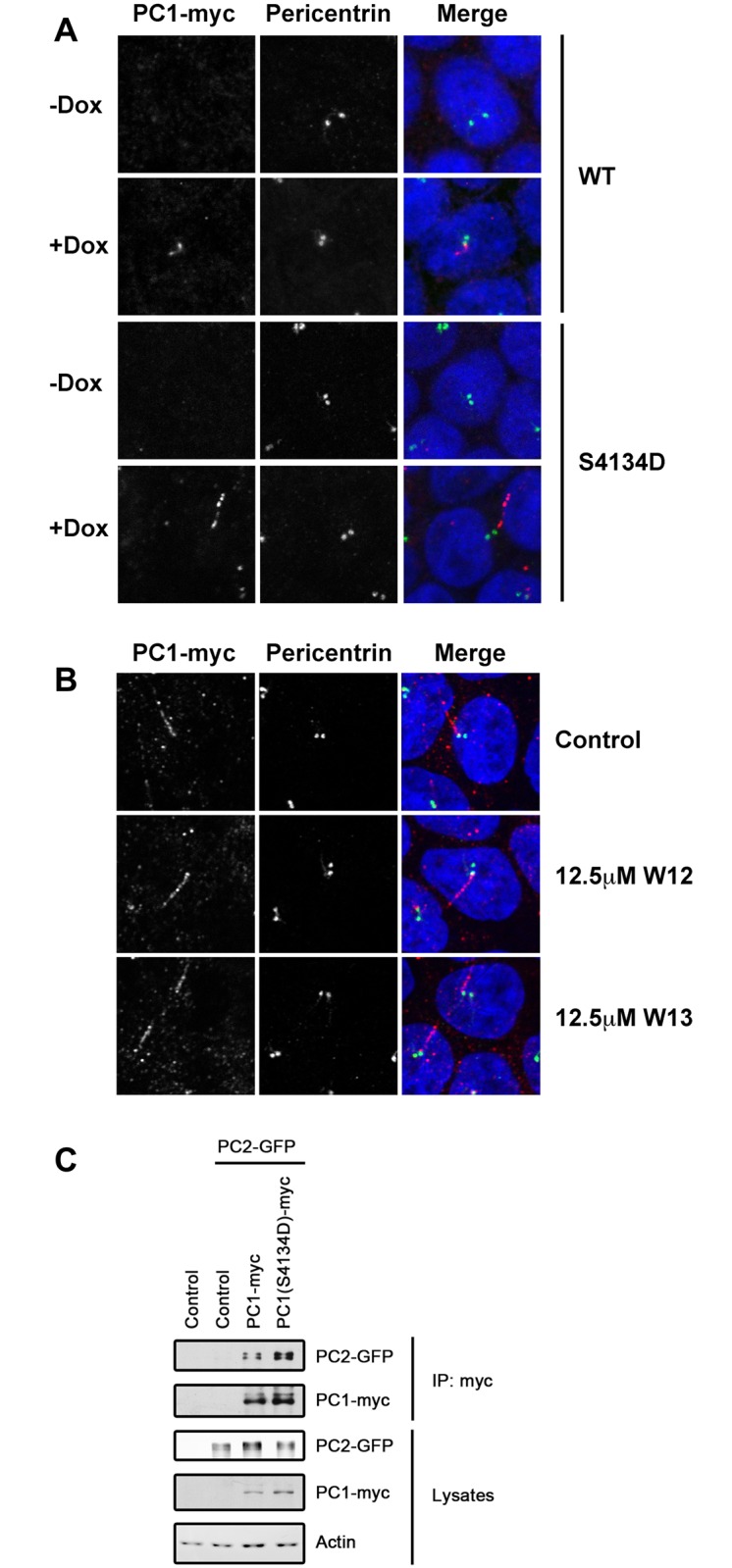 Fig 3