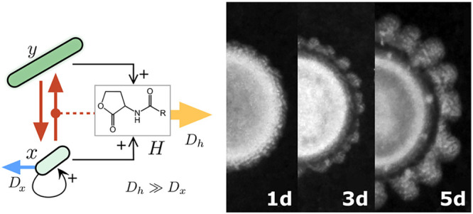 graphic file with name sb0c00318_0007.jpg