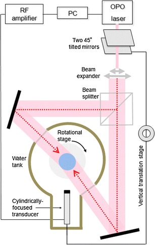 Fig. 1