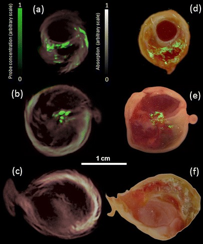 Fig. 4