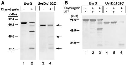 FIG. 5