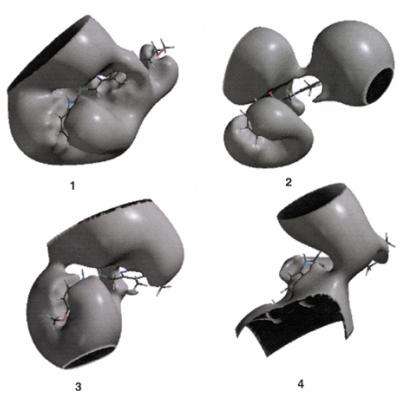 FIG. 2.