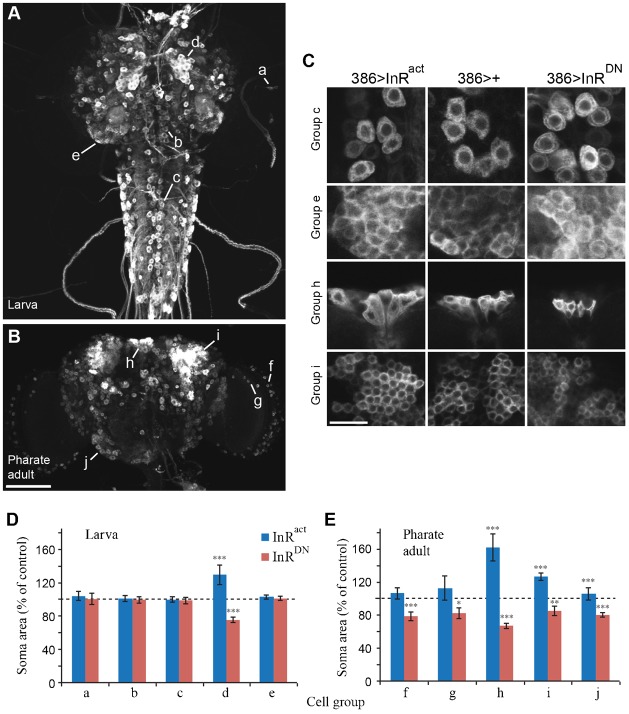 Fig. 6.