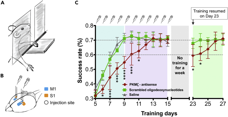 Figure 1