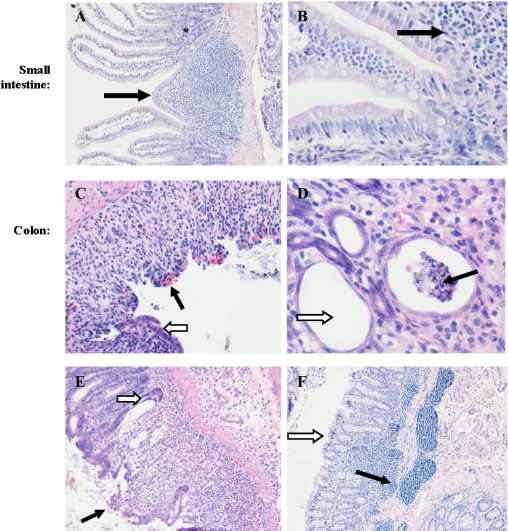 Fig. 3