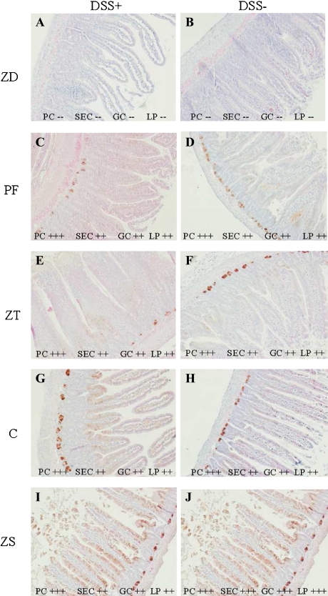 Fig. 4