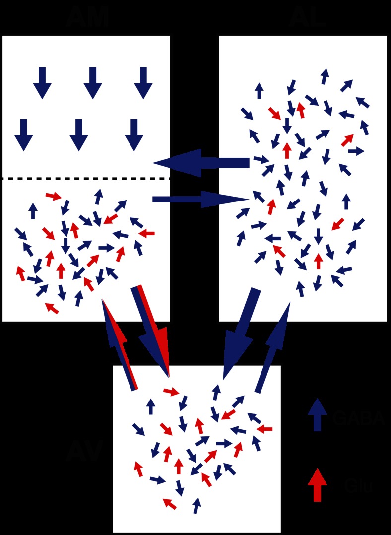 Fig. 9.