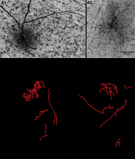 Fig. 8.