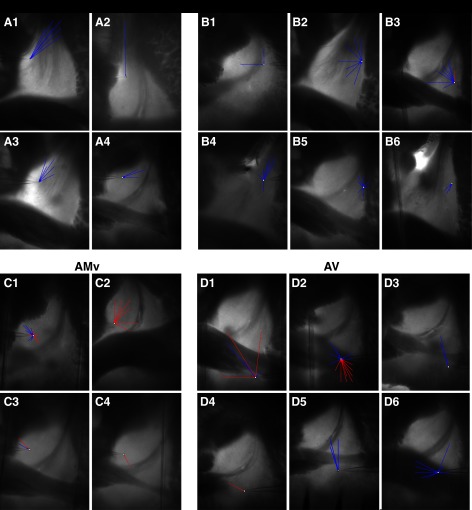 Fig. 4.