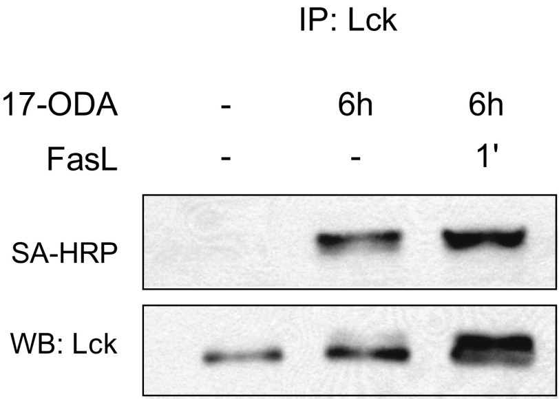 Fig. S4.