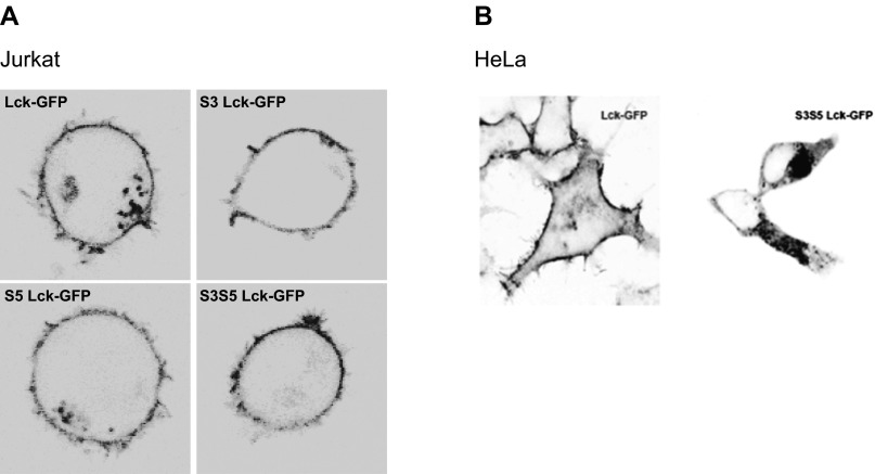 Fig. S1.