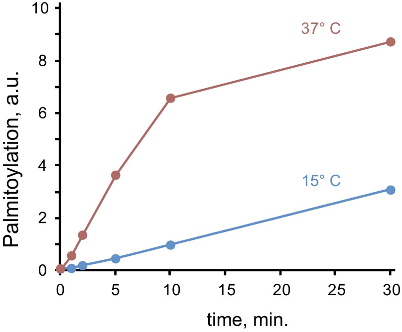 Fig. S3.