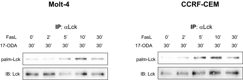 Fig. S5.