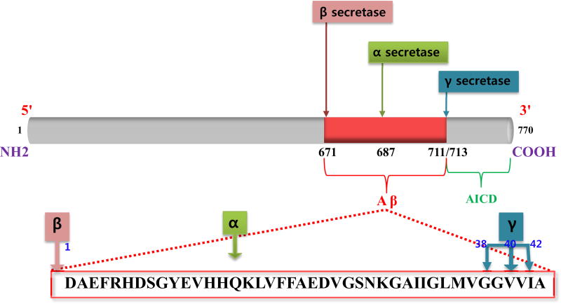 Fig. (1)