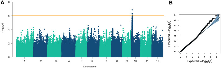 Figure 4