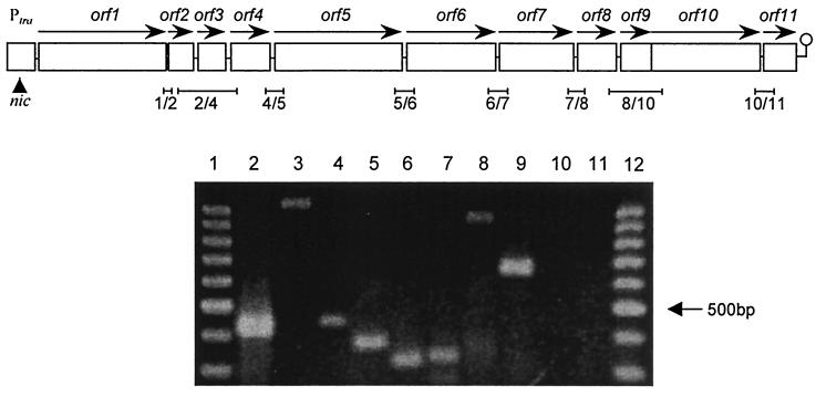 FIG. 2.