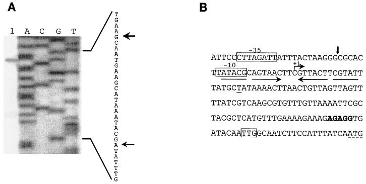 FIG. 3.