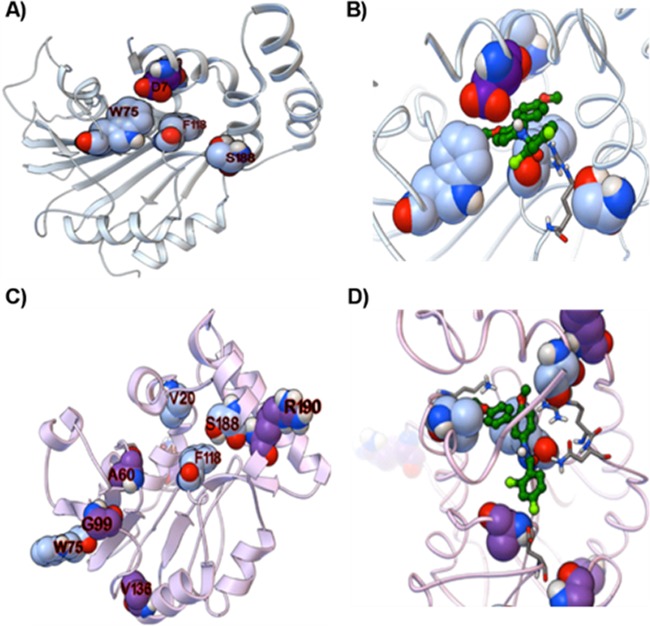 FIG 3 