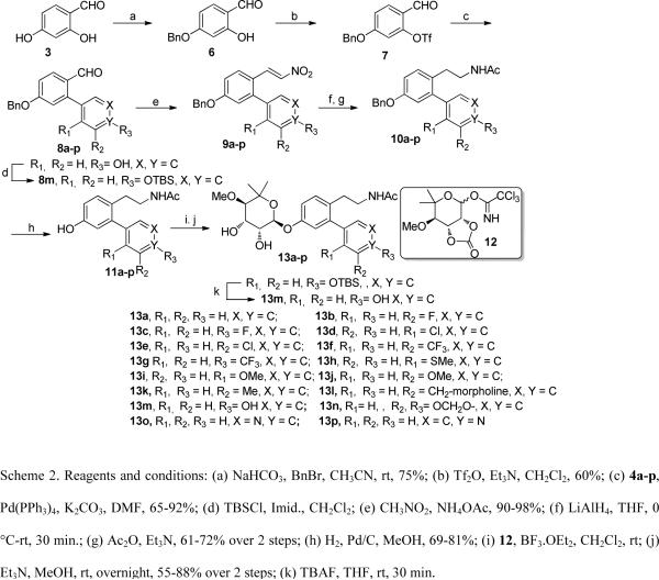 Scheme 2