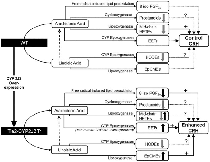 Fig 10