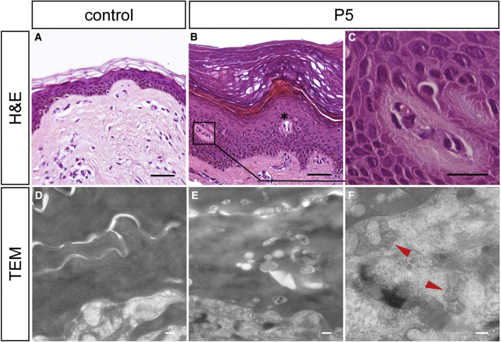 Figure 3