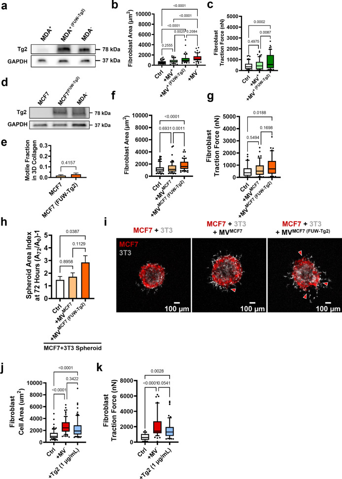 Figure 4—figure supplement 3.