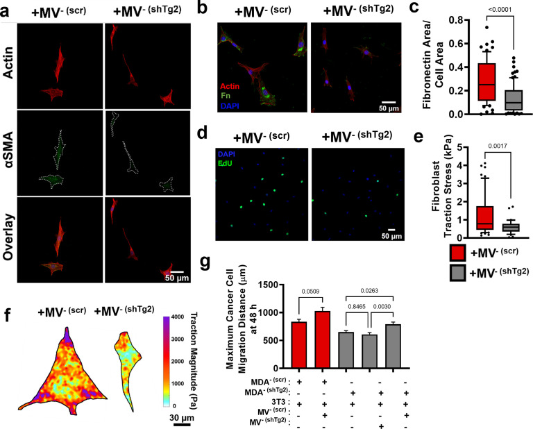 Figure 4—figure supplement 2.