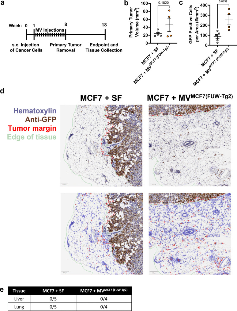 Figure 6—figure supplement 1.