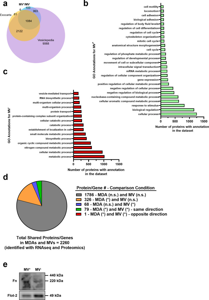 Figure 3—figure supplement 1.