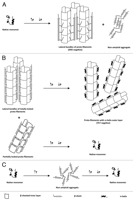 Figure 1.