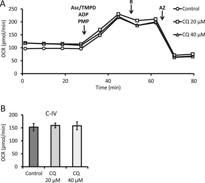 Fig. 11