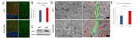 Figure 7: