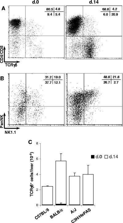 FIG. 7.