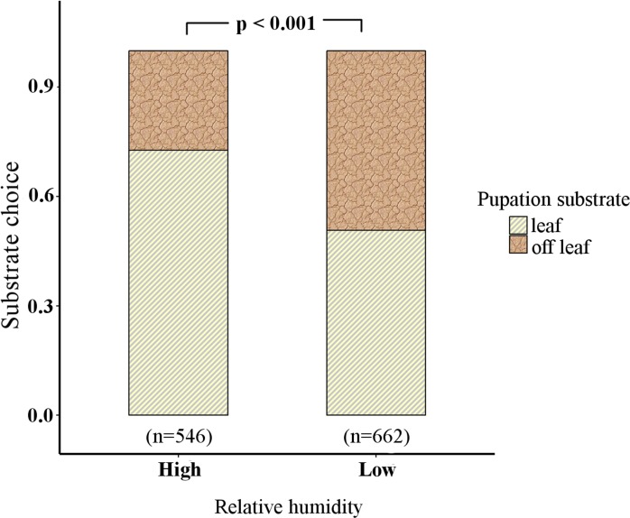 Fig 5