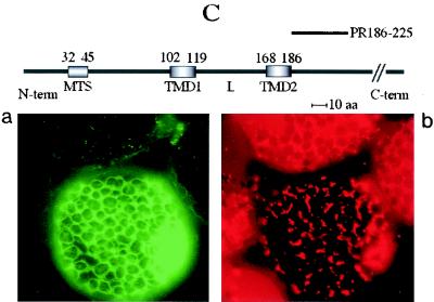 FIG. 6.