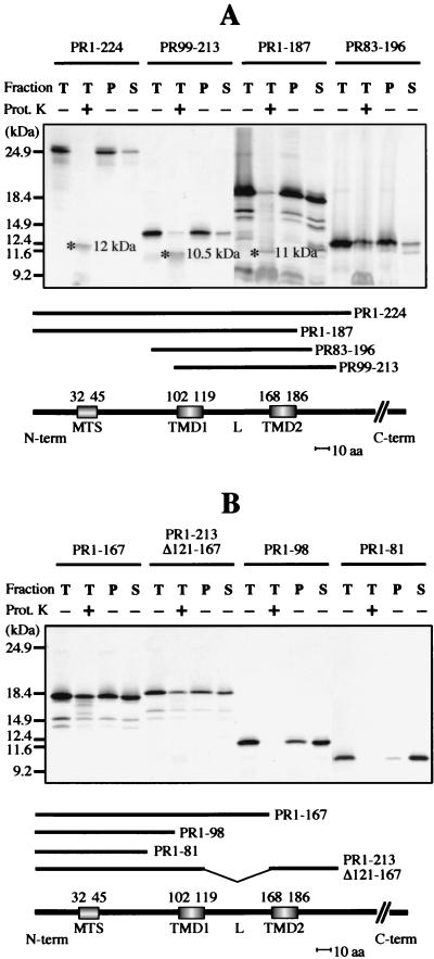 FIG. 8.