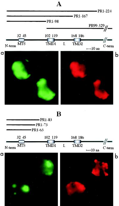 FIG. 7.