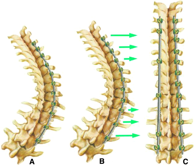 Fig. 3