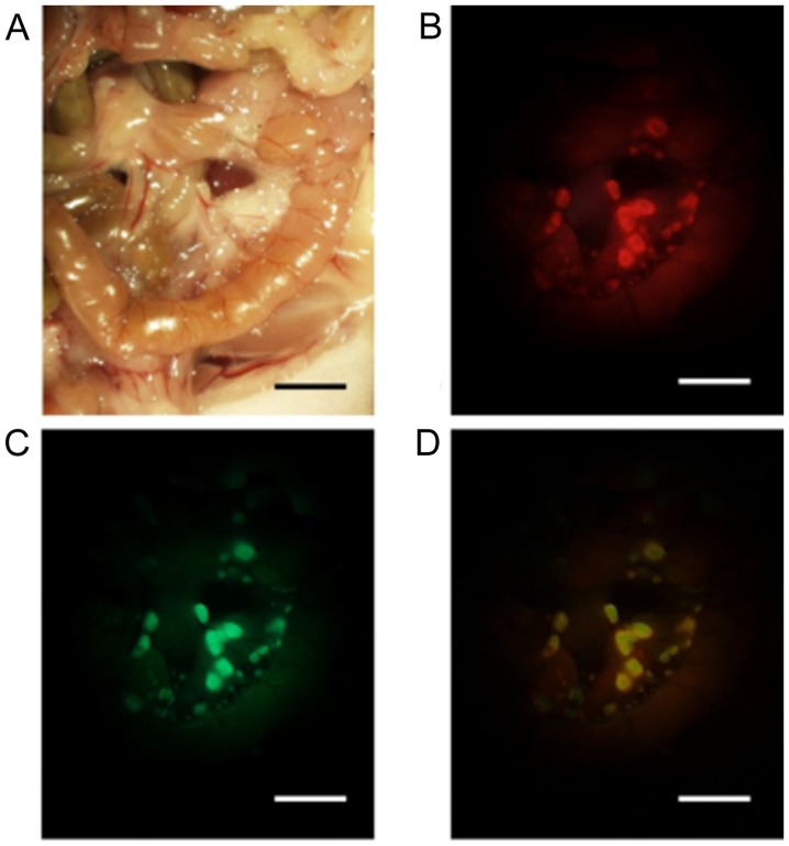 Figure 2.