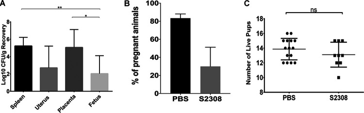 FIG 3